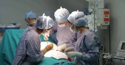 C-Section rates