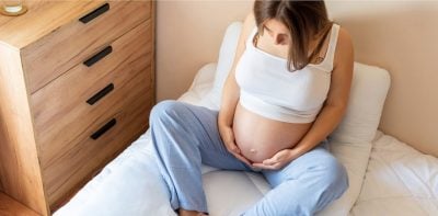 What Is The Chorion All You Need To Know